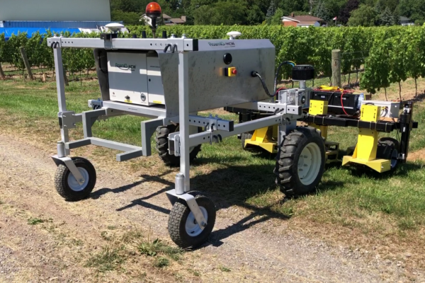 RoamIO-HCW Farming Robot Mowing (3)